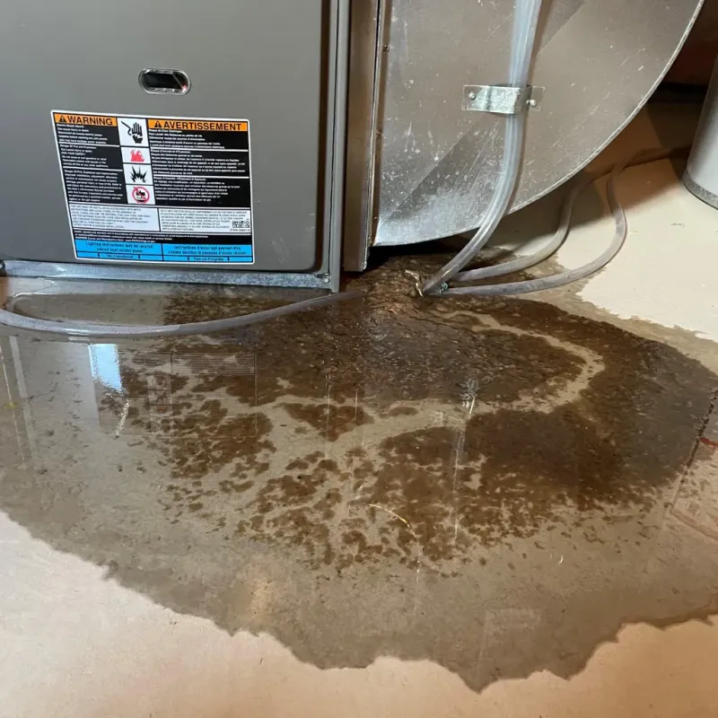 Appliance Leak Cleanup in Clarke County, VA