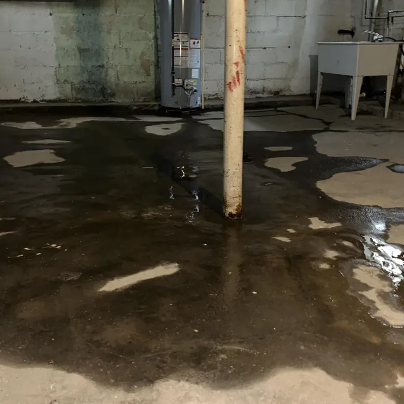 Emergency Water Extraction And Removal in Clarke County, VA